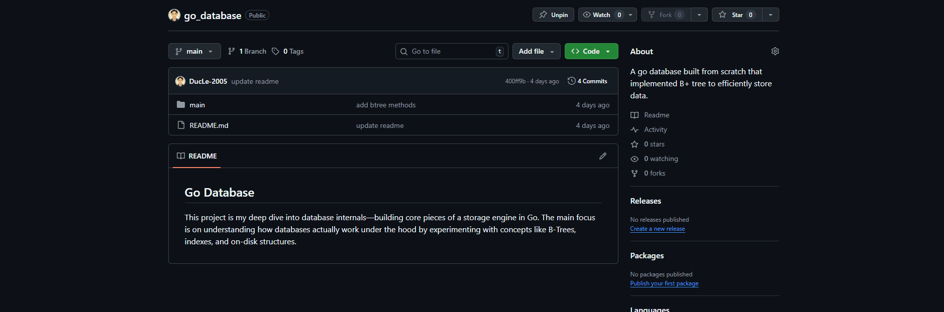 Go Database Internals screenshot